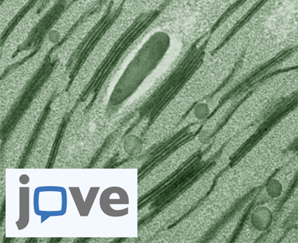 Image from JoVE Methods Collection, with link to site